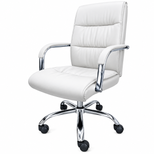 Sillón DELFOS Director Blanco o Negro